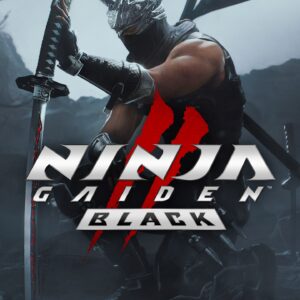 بازی NINJA GAIDEN 2 ظرفیت دوم