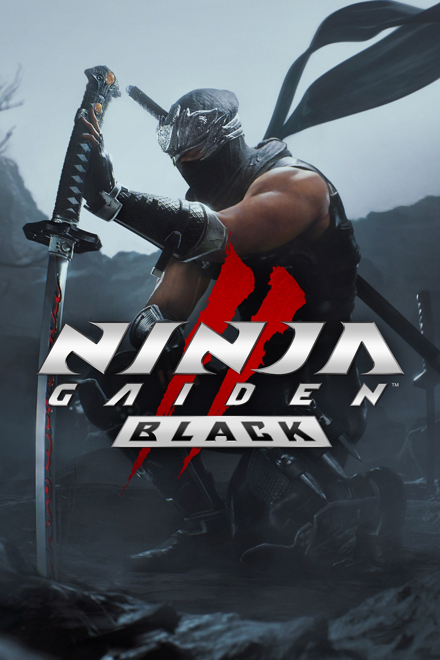 بازی NINJA GAIDEN 2 ظرفیت دوم